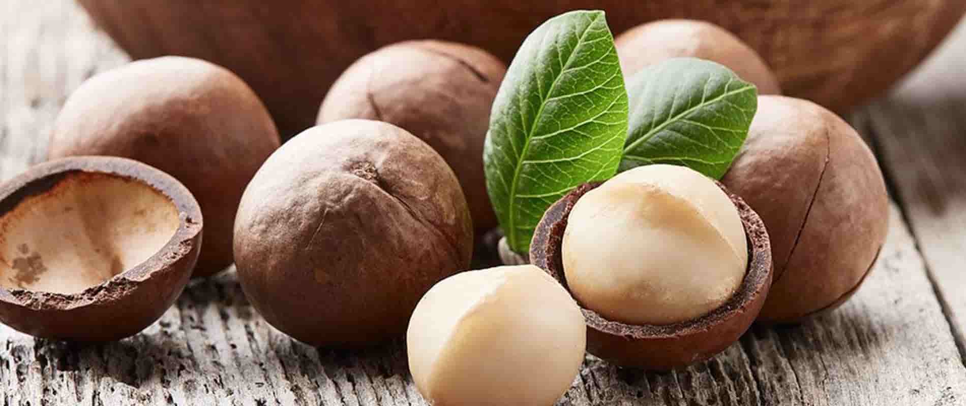فروش خشکبار